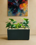 Dinosaur Egg Flower Pot DY01
