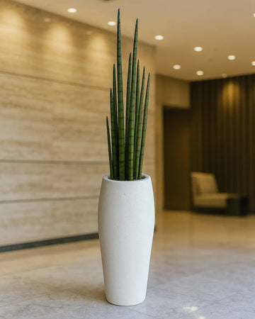 Yapay Sansevieria Grande