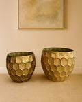 Dinosaur Egg Flower Pot DY01