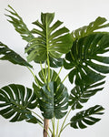 Starliçe Wavy 15 leaves