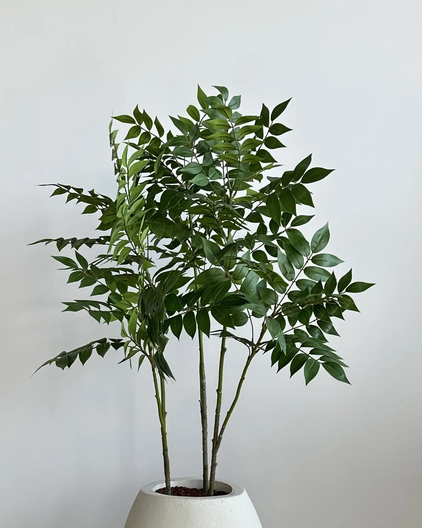 Starliçe Wavy 15 leaves