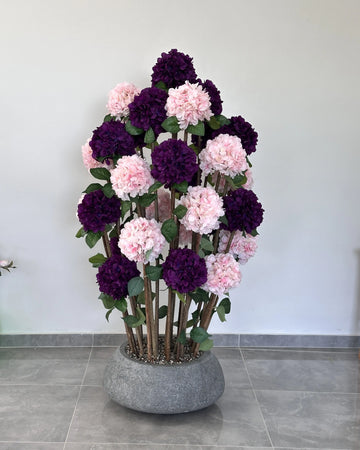 Royal Salmon Hydrangea
