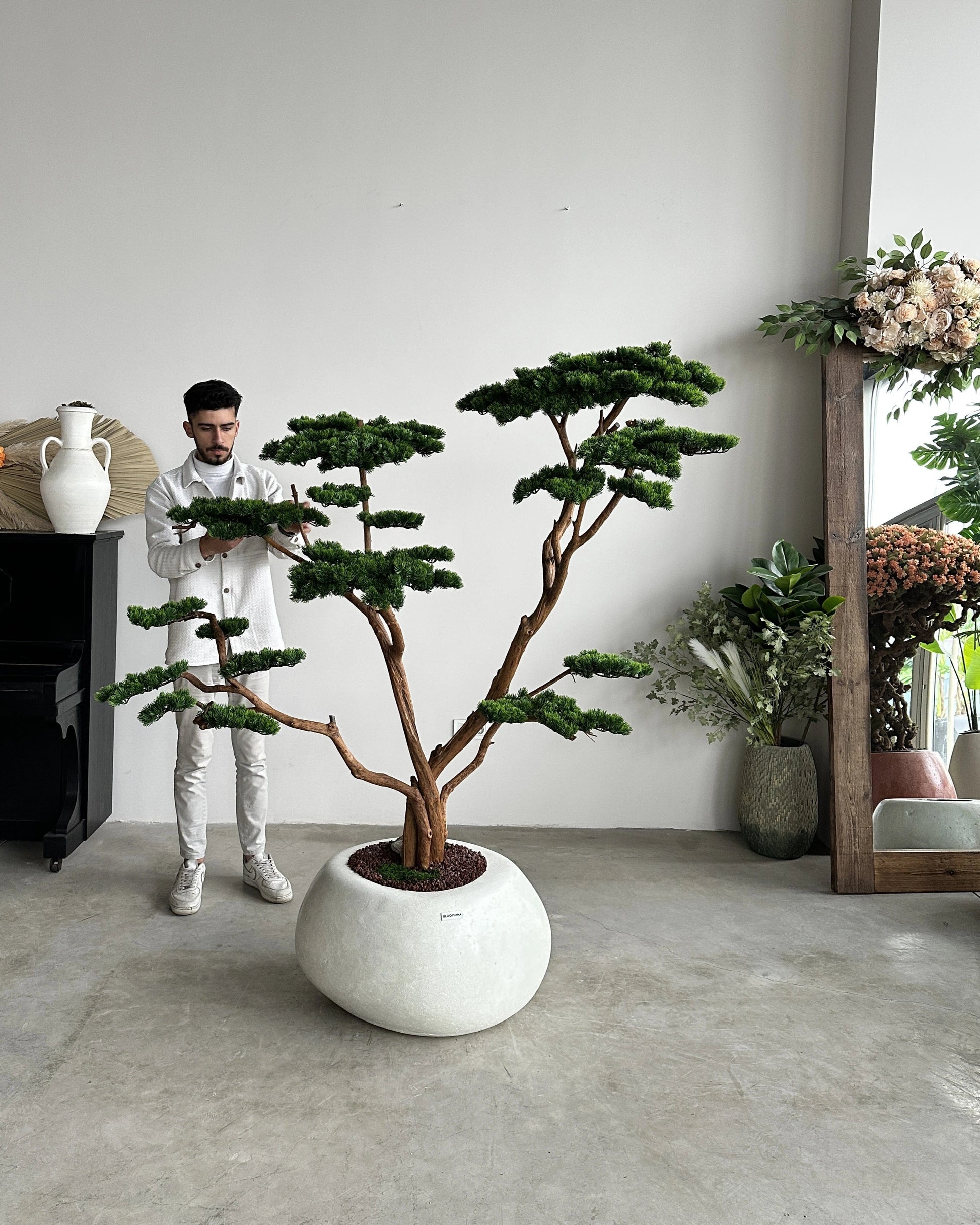 Yapay Bonsai Ağacı Mont Blanc Grande