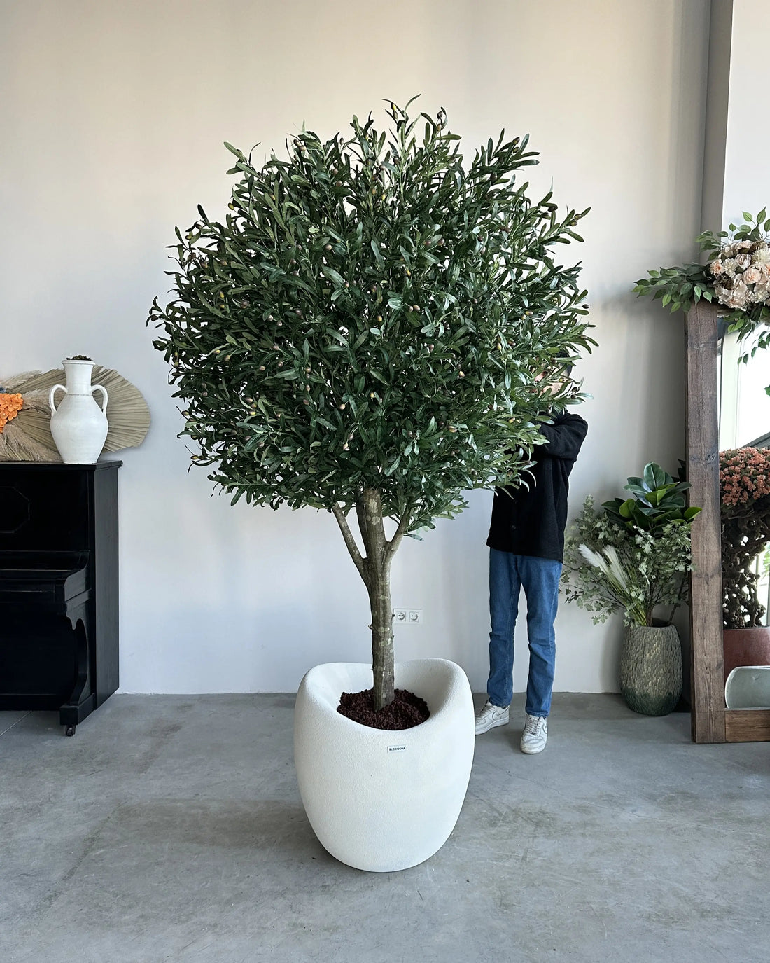 Olive Una Vita