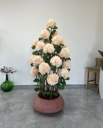 Royal Salmon Hydrangea