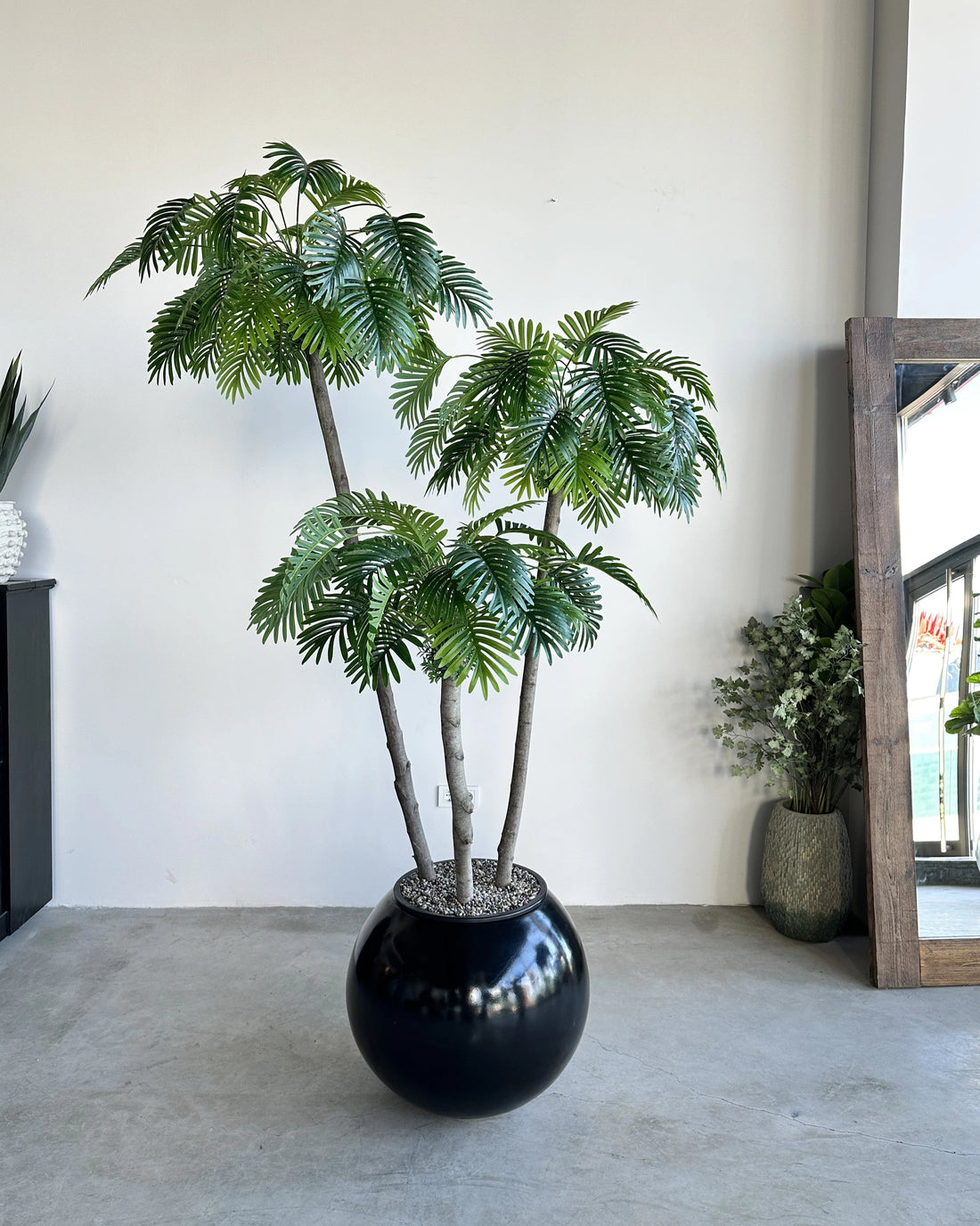Rain Palm