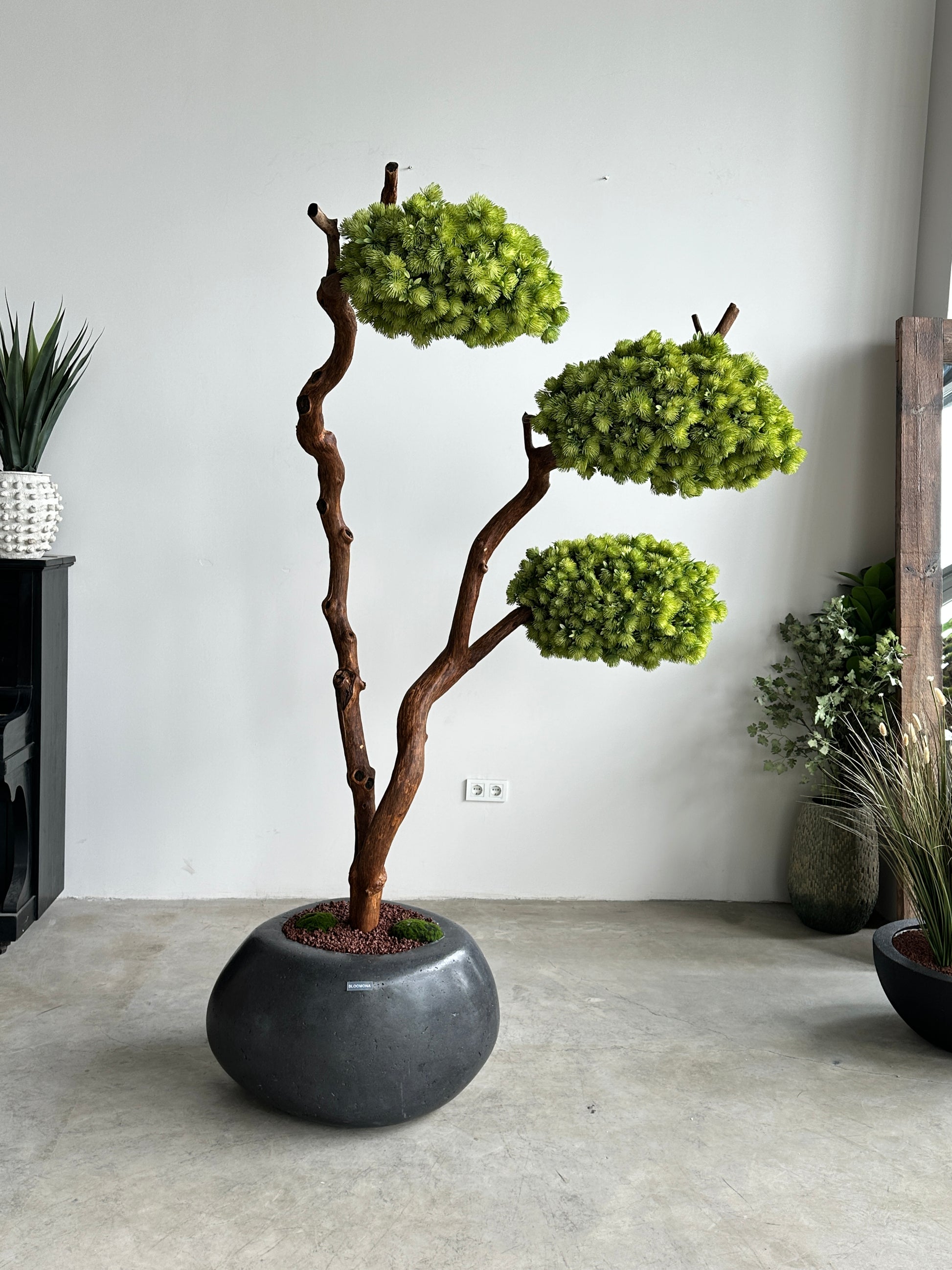 Yapay Bonsai Toros Sediri