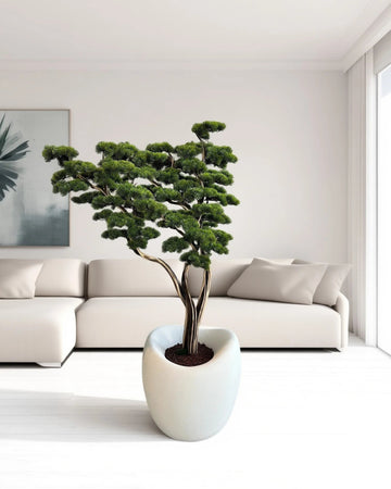 Yapay Bonsai Manzanita Saga