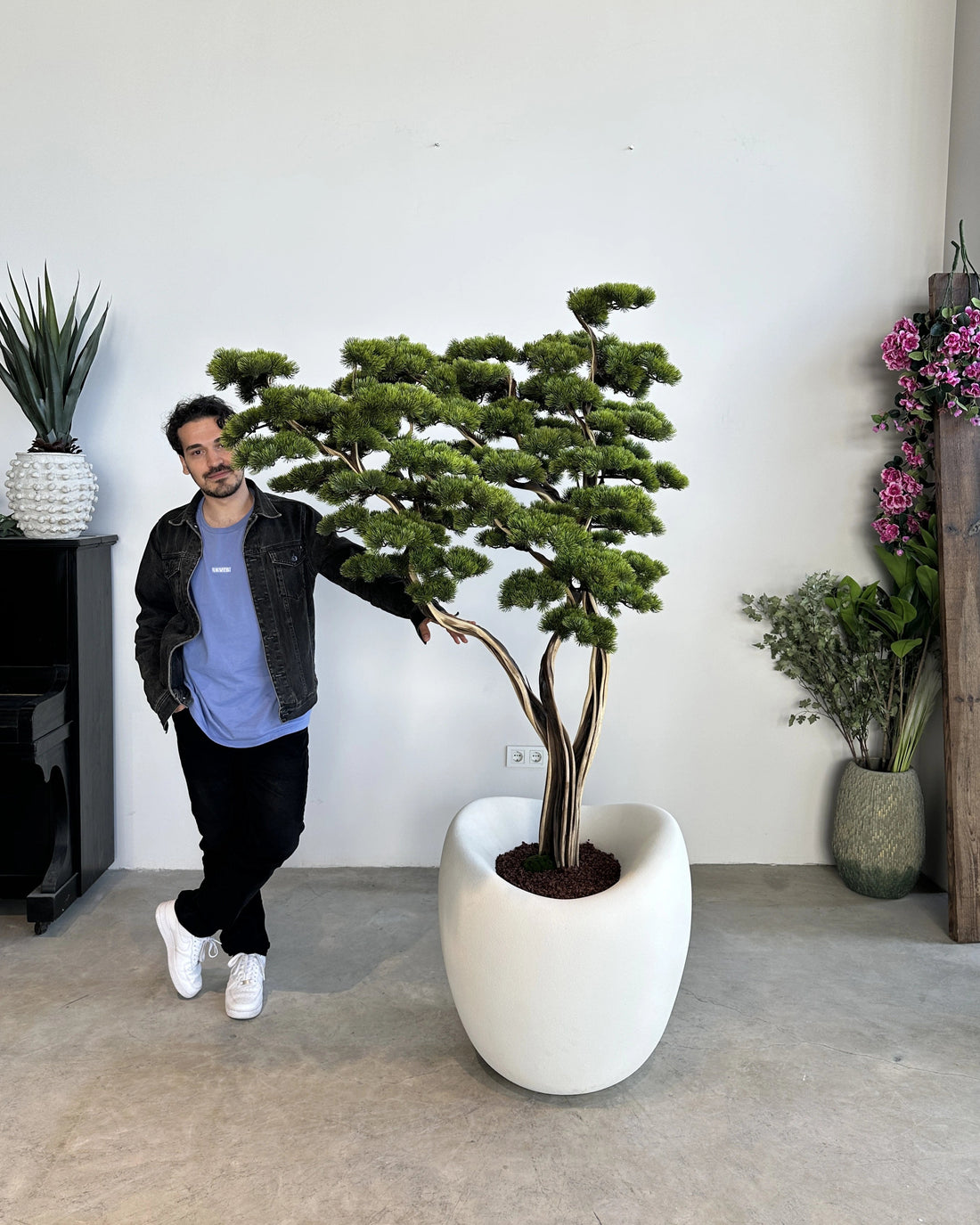Yapay Bonsai Manzanita Saga