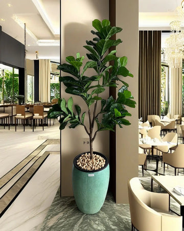 Yapay Bitki Ficus Lirata Loro