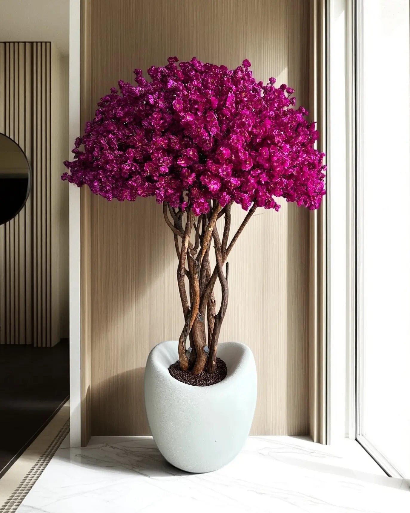 Sakura Bonsai Grande Purple