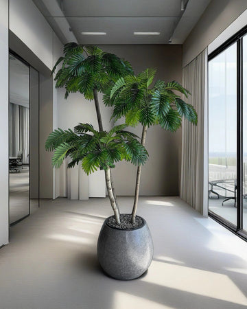 Rain Palm
