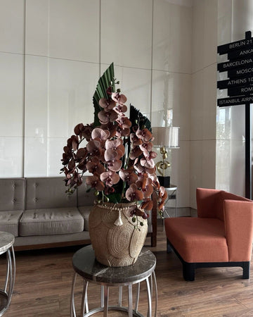 Lobby Orchid Arrangement