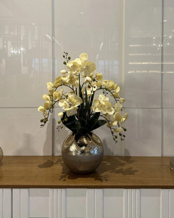 Lemon Orchid Arrangement