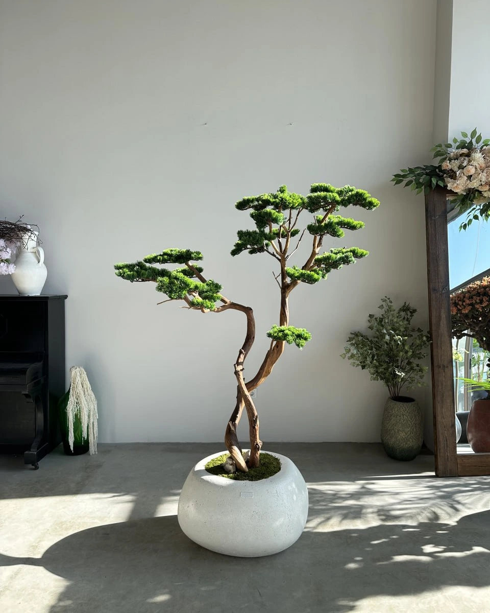 Yapay Bonsai Ağacı Mont Blanc