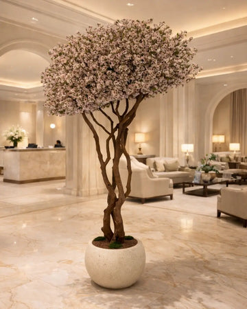 Büyük Bonsai Ağaçları