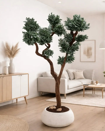 Bonsai ağaçları