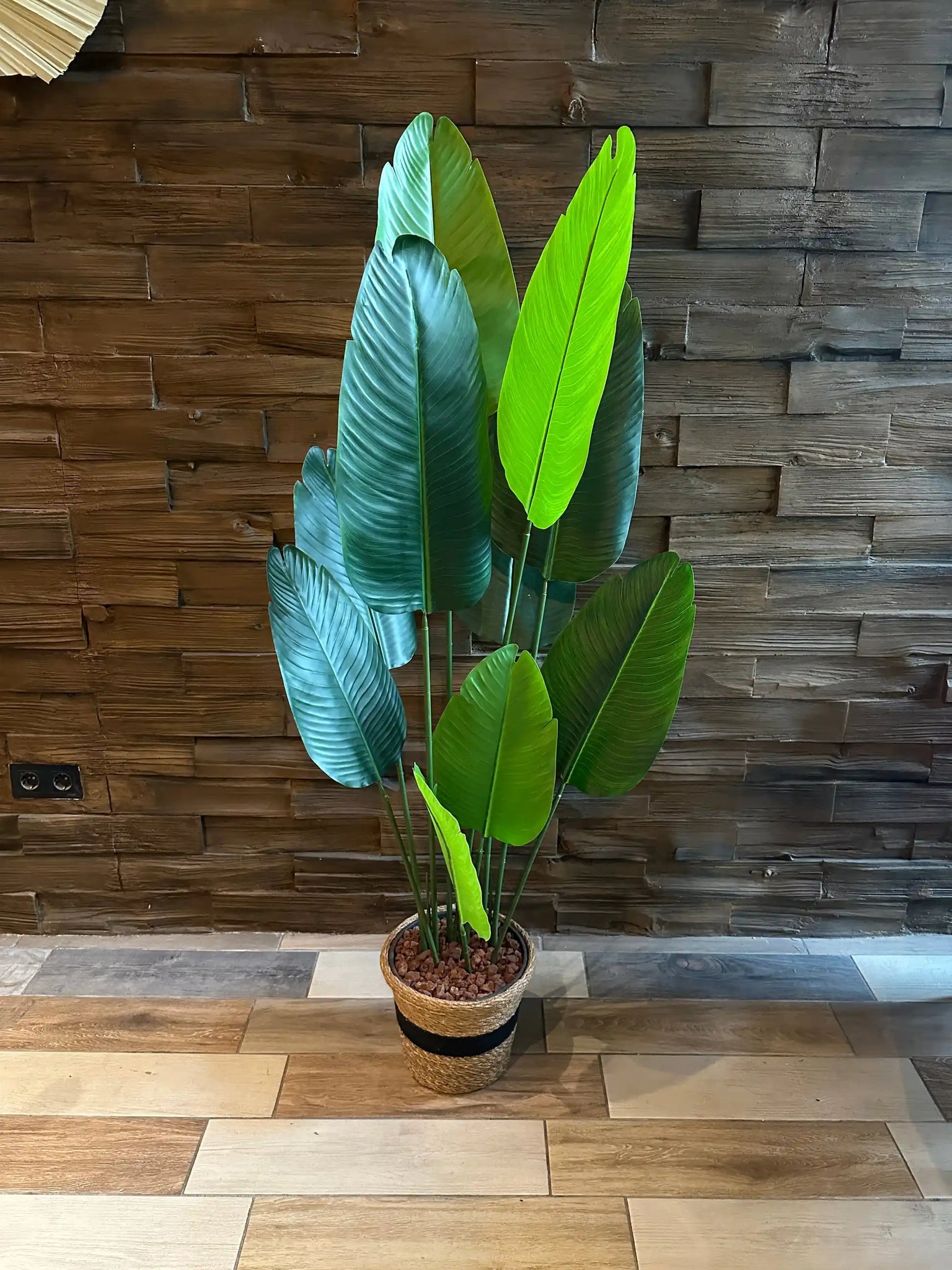 a large flower in a pot