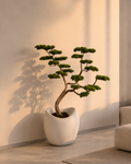 Artificial Bonsai Manzanita Ruzo