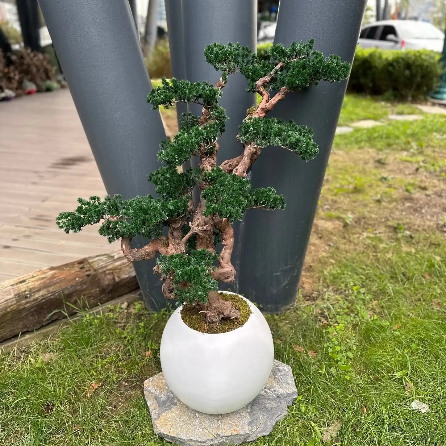 The green tree