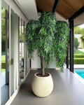 Yapay Bonsai Zen Atlas (1)