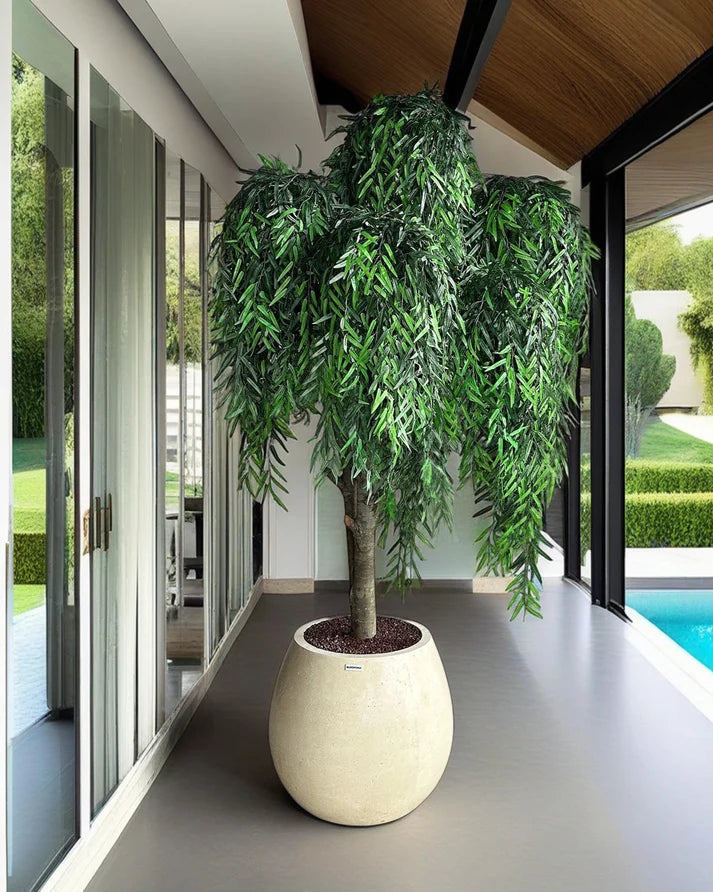 Yapay Bonsai Zen Atlas (1)