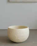 Dinosaur Egg Flower Pot DY01