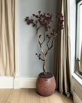 Yapay Bonsai Zen Atlas (1)