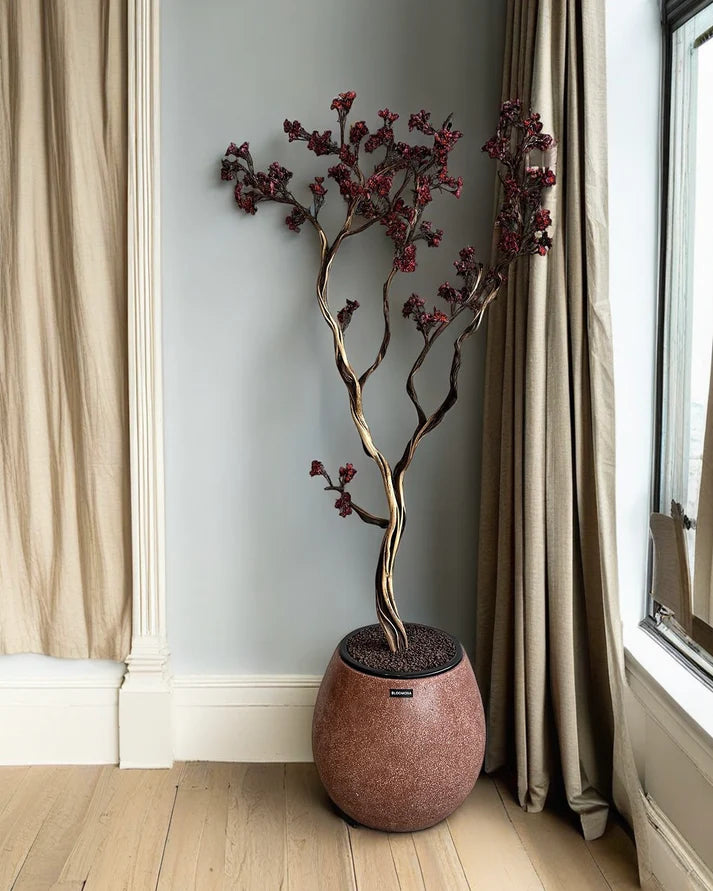 Yapay Bonsai Zen Atlas (1)