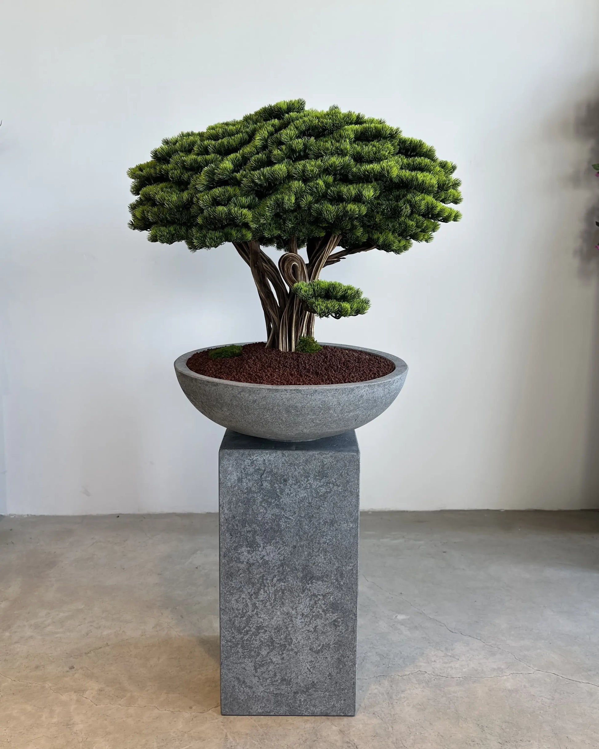 Yapay Bonsai Fudziyama