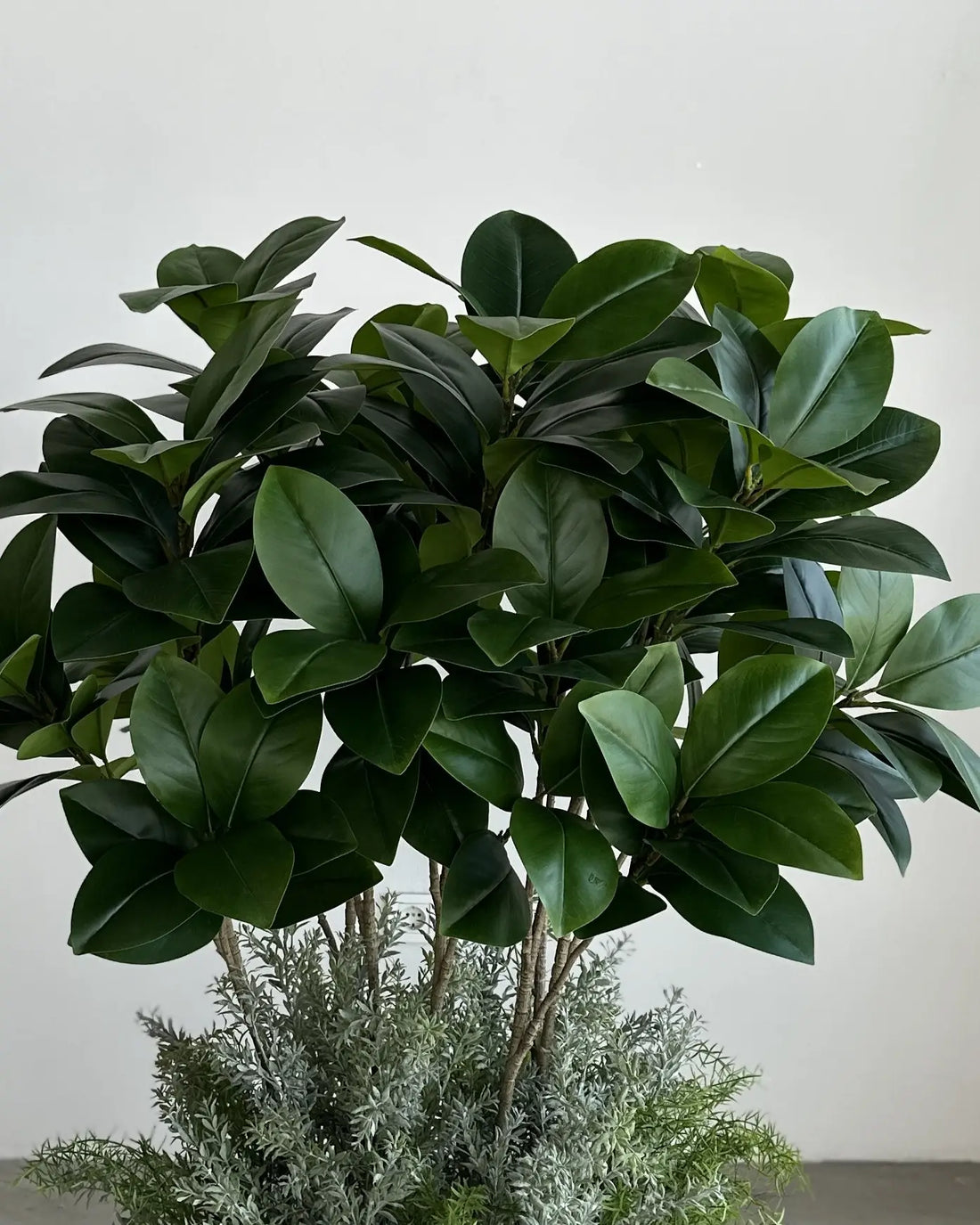 Yapay Bitki Royal Ficus Sanmarino