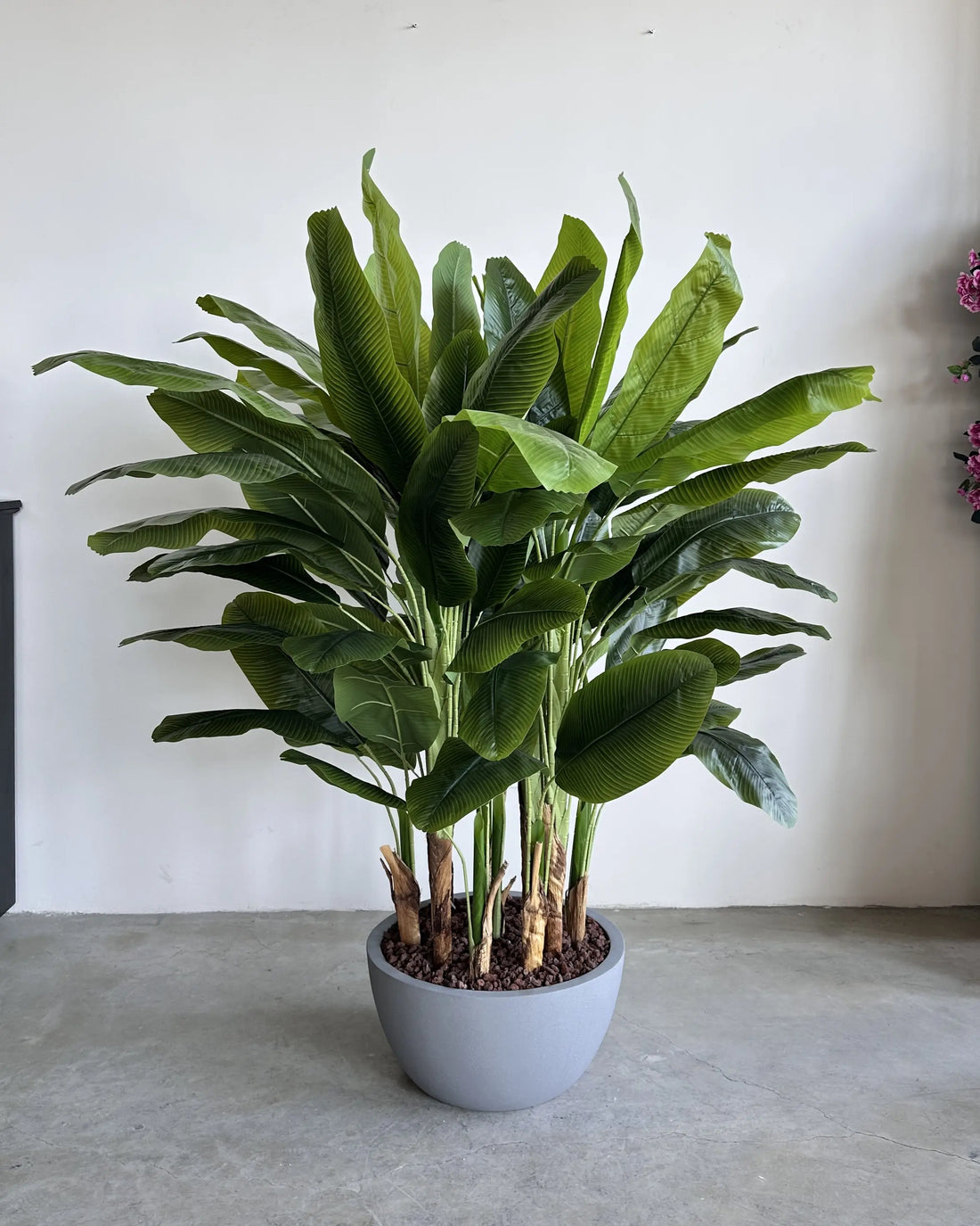Dinosaur Egg Flower Pot DY01