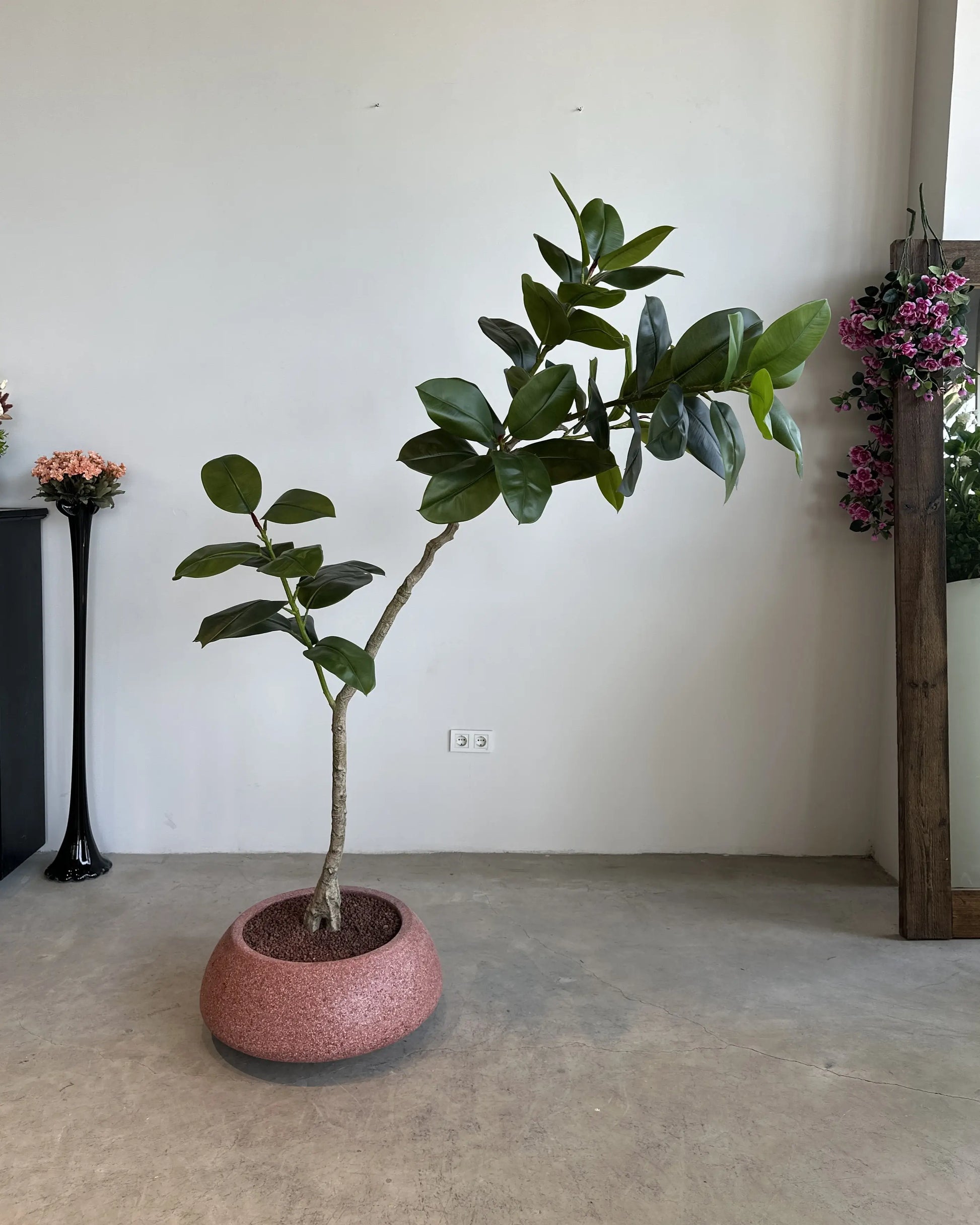 Yapay Bitki Ficus Yamuk Royal