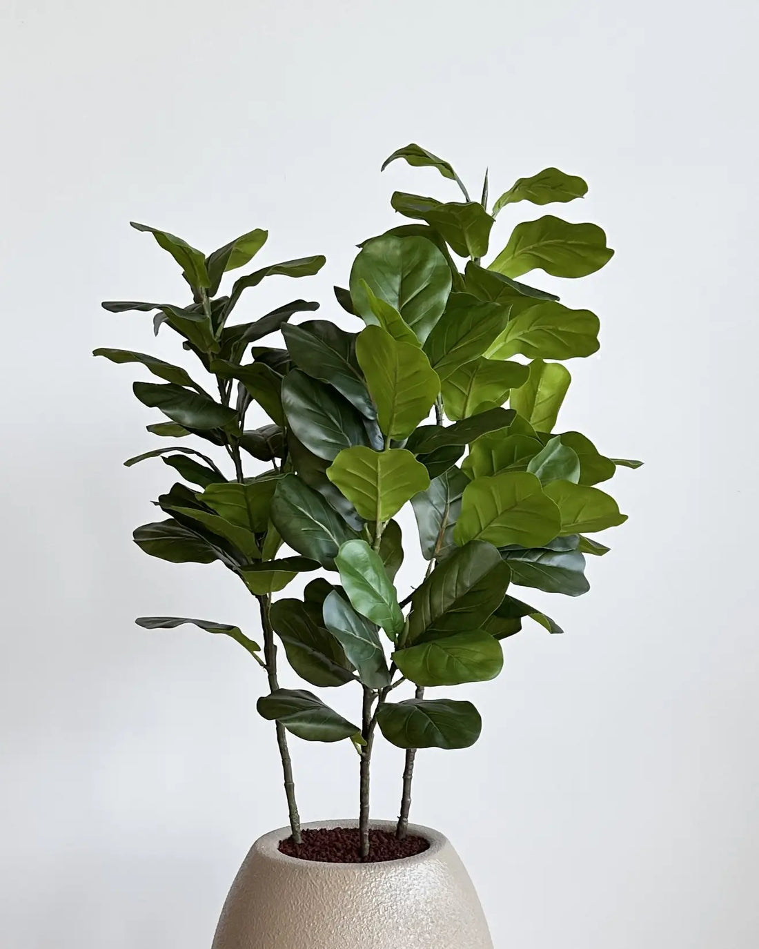 Yapay Bitki Ficus Lirata Kayro