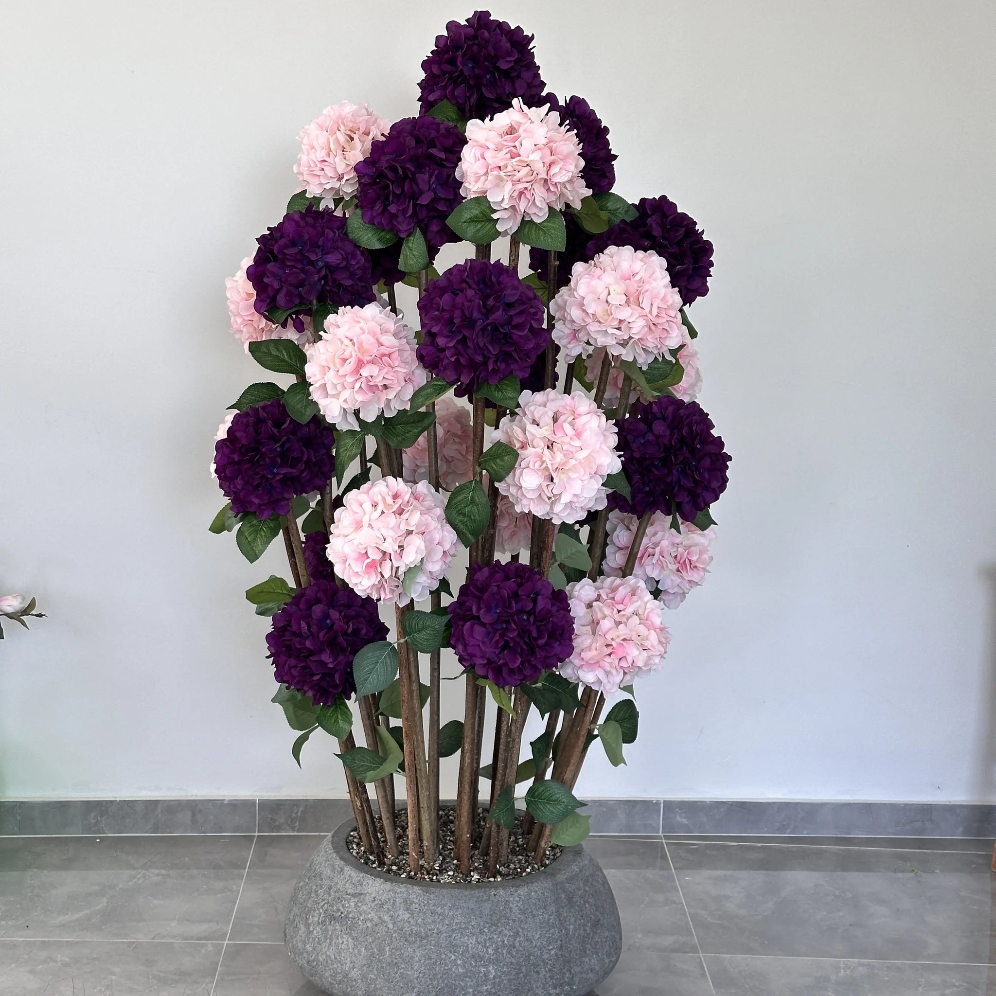 Royal Salmon Hydrangea