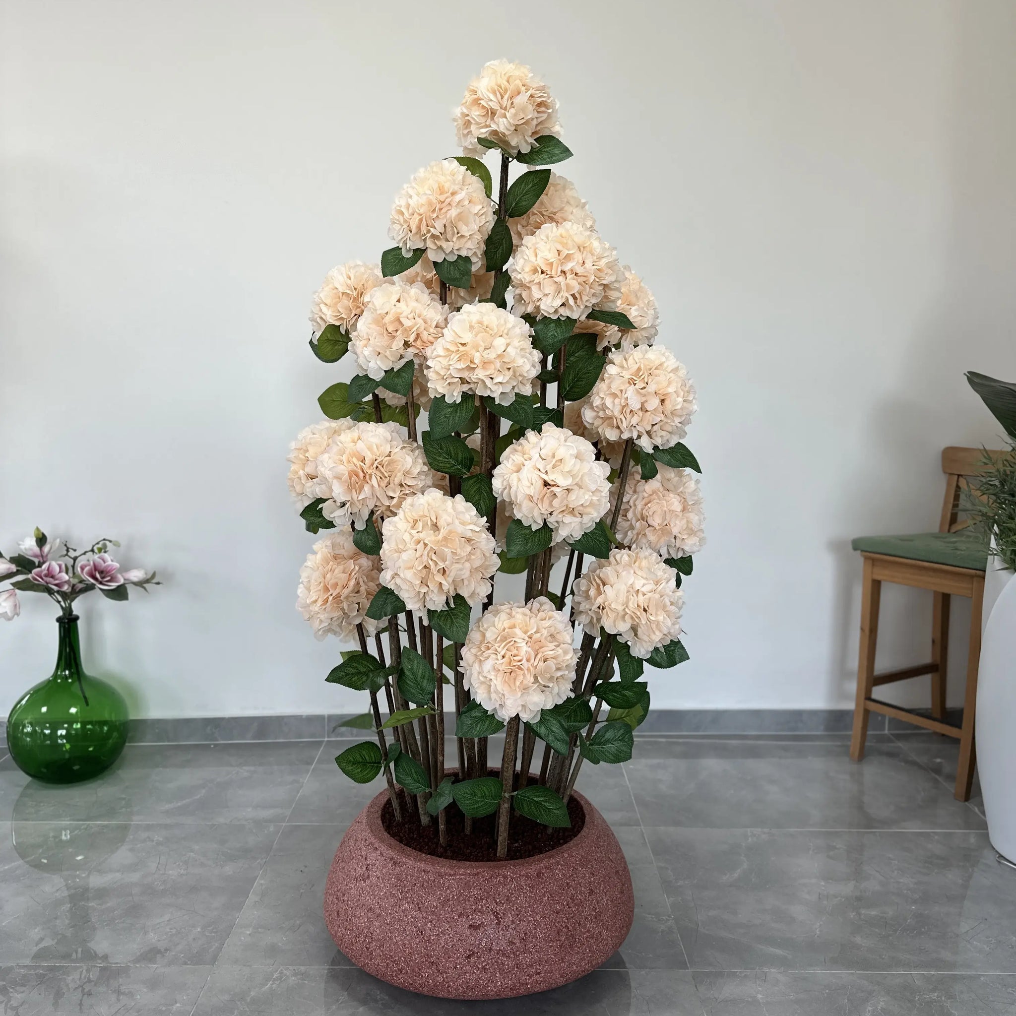 Royal Salmon Hydrangea