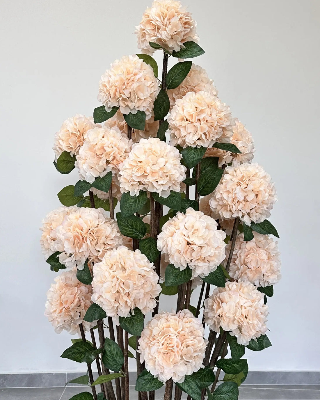 Royal Salmon Hydrangea