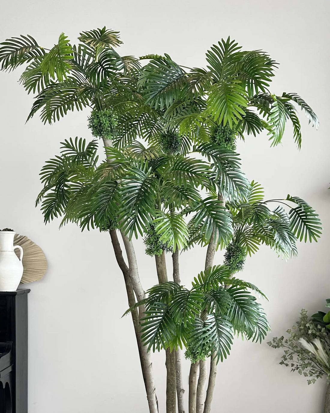 Rain Palm