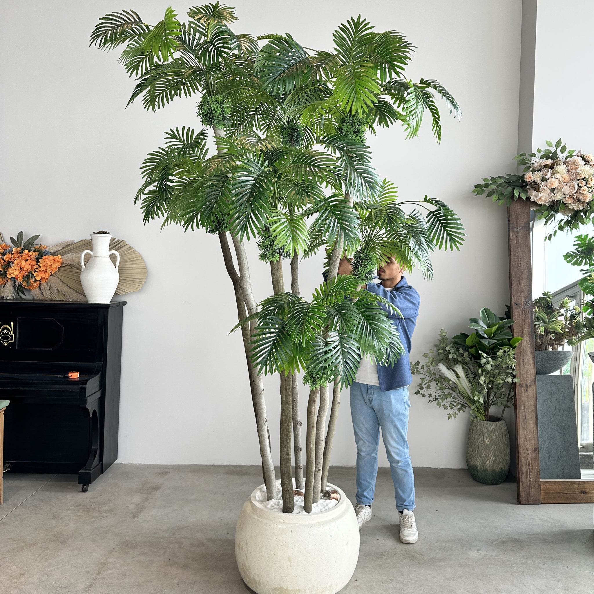 Rain Palm