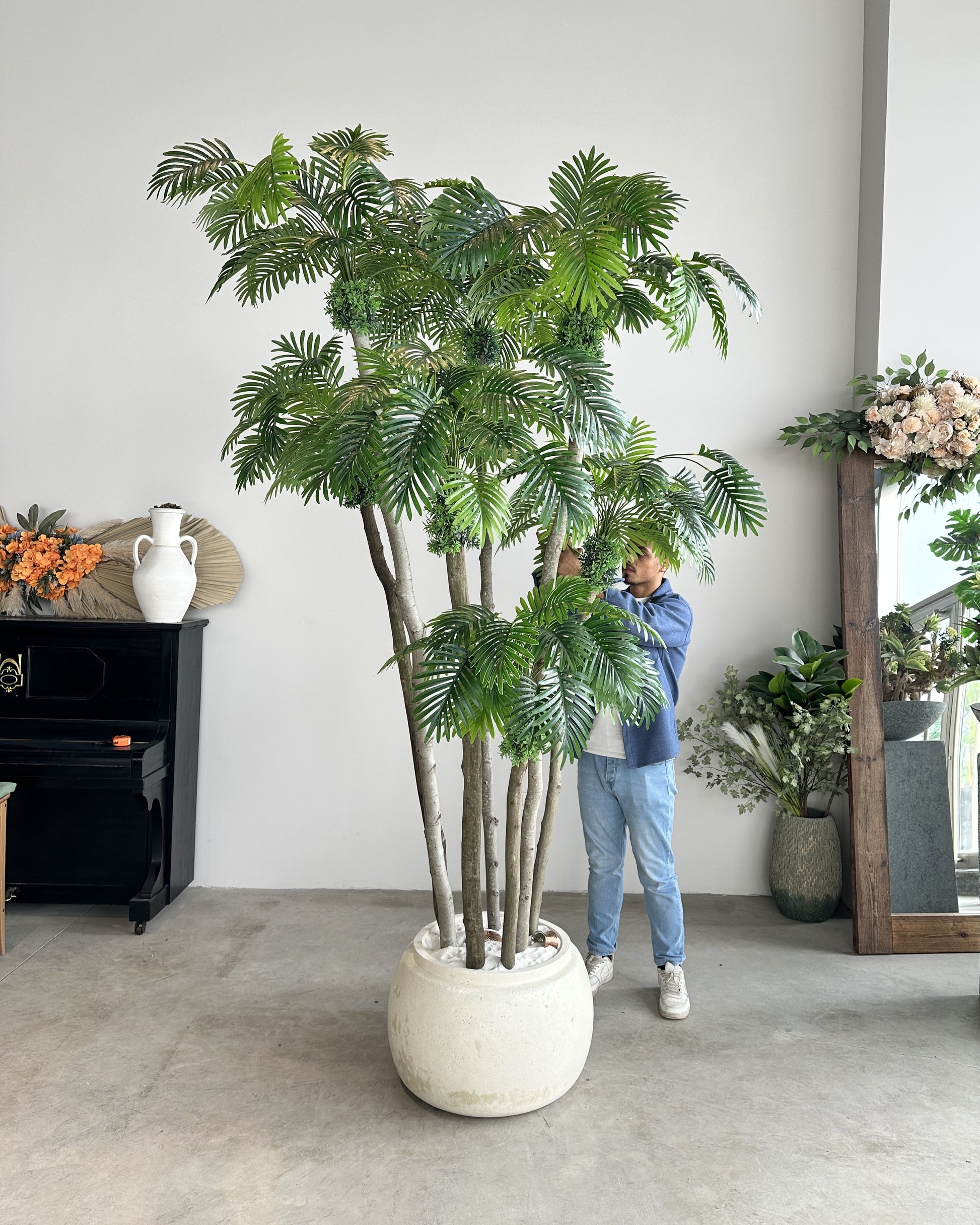 Rain Palm