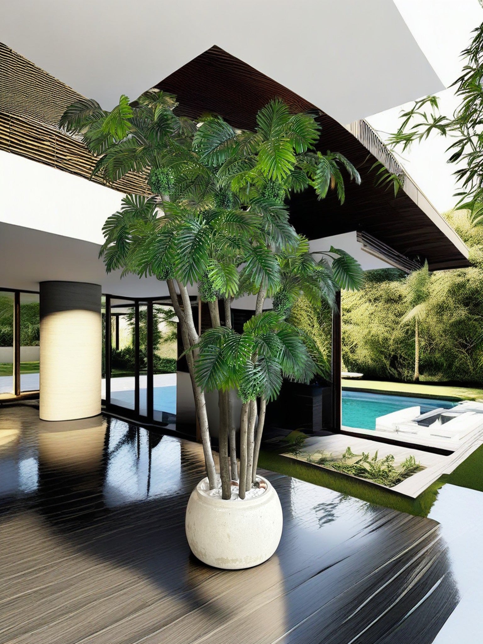 Rain Palm
