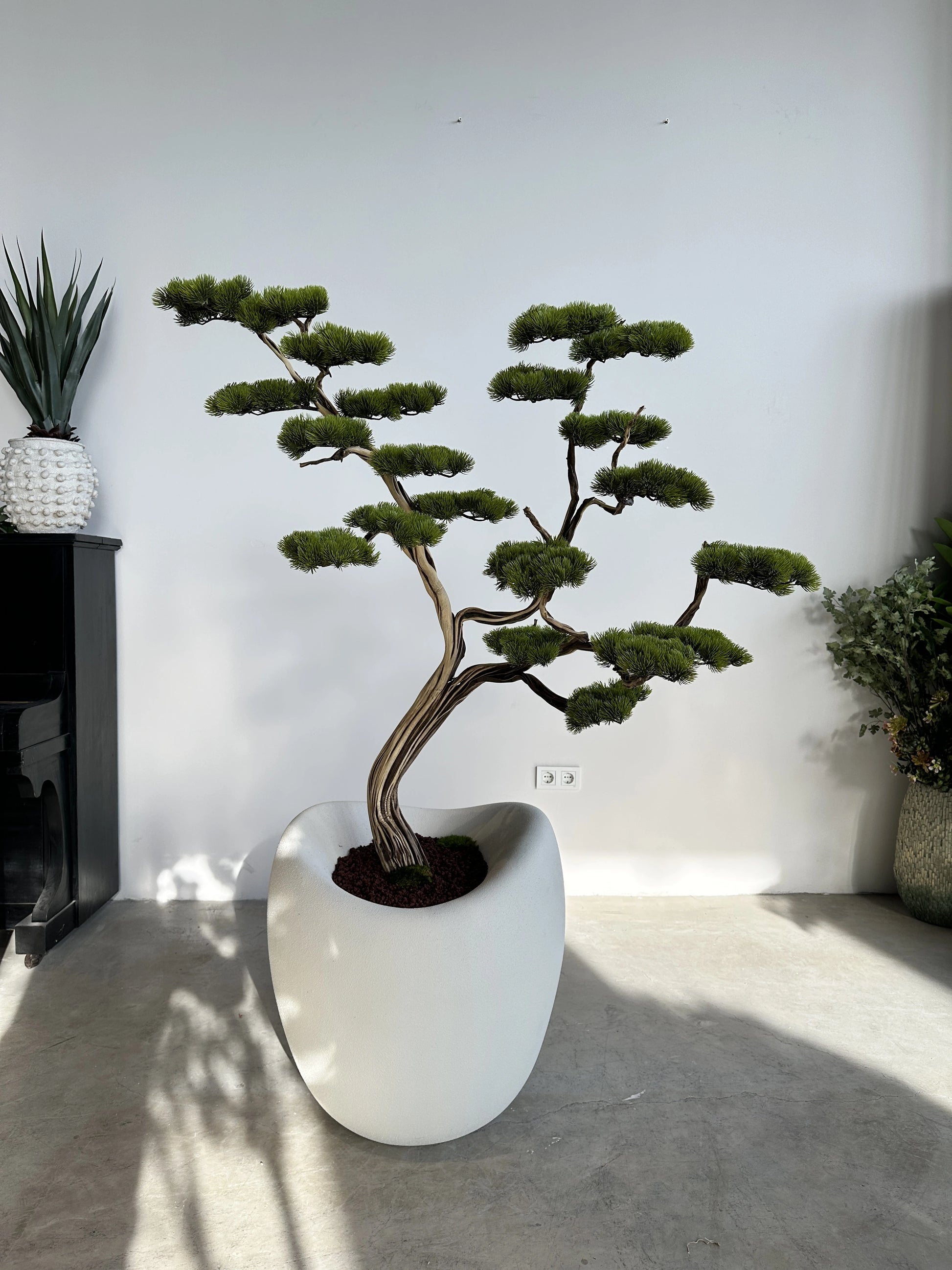 manzanita bonsai tree Yapay Bonsai Manzanita Ruzo