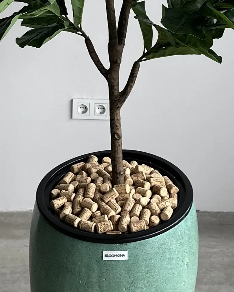 Yapay Bitki Ficus Lirata Loro