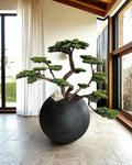 Bonsai Yakudza