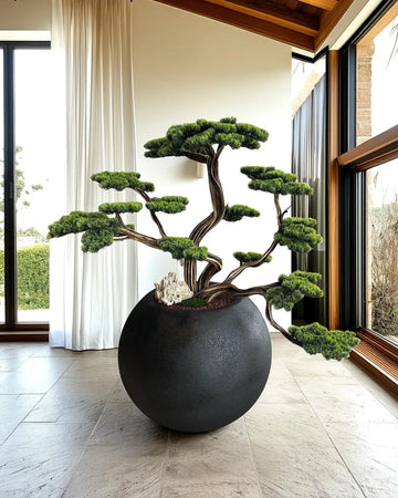 Bonsai Yakudza