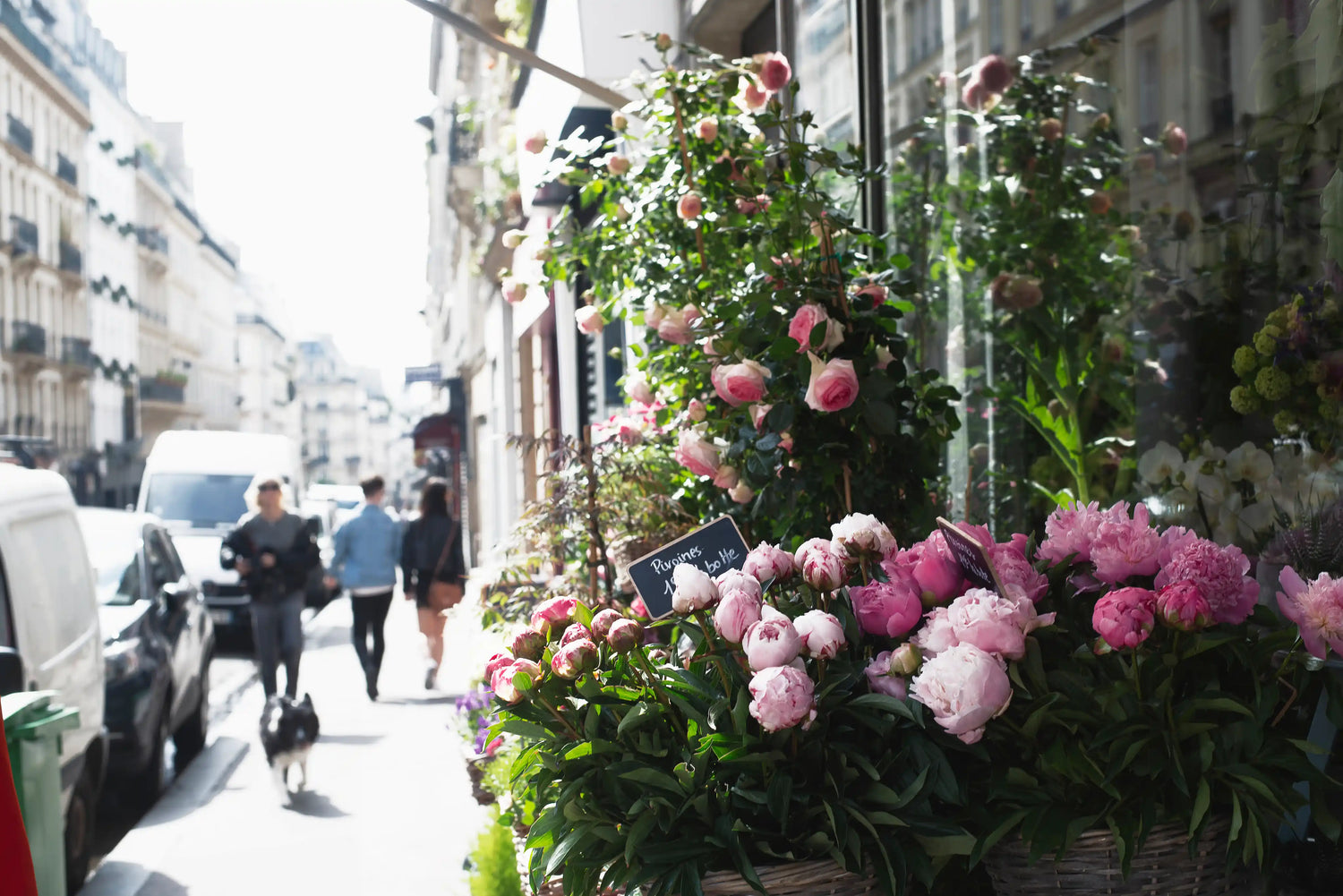 Bushes with roses and peonies