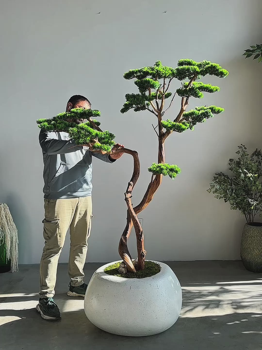 Yapay Bonsai Ağacı Mont Blanc