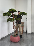 Yapay Bonsai Koca Katran