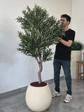 Yapay Zeytin Ağacı Riva