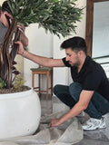 Artificial Tree Black Olive Lycia